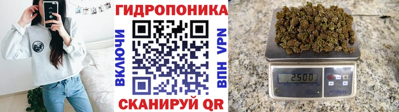 Где купить наркоту Бологое Конопля A PVP МЕФ COCAIN
