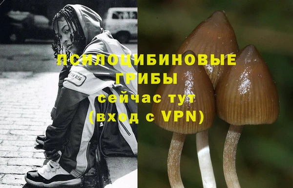 первитин Богданович
