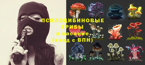 первитин Богданович
