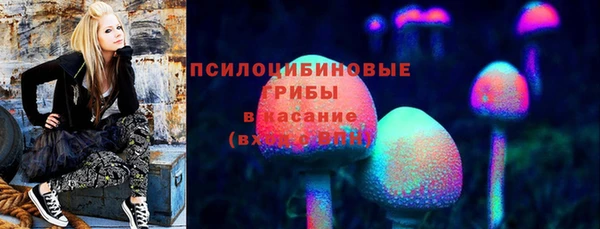 первитин Богородск