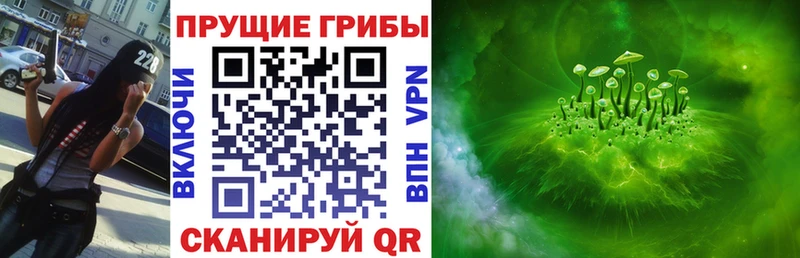 купить наркотик  гидра ССЫЛКА  Галлюциногенные грибы Psilocybe  Бологое 